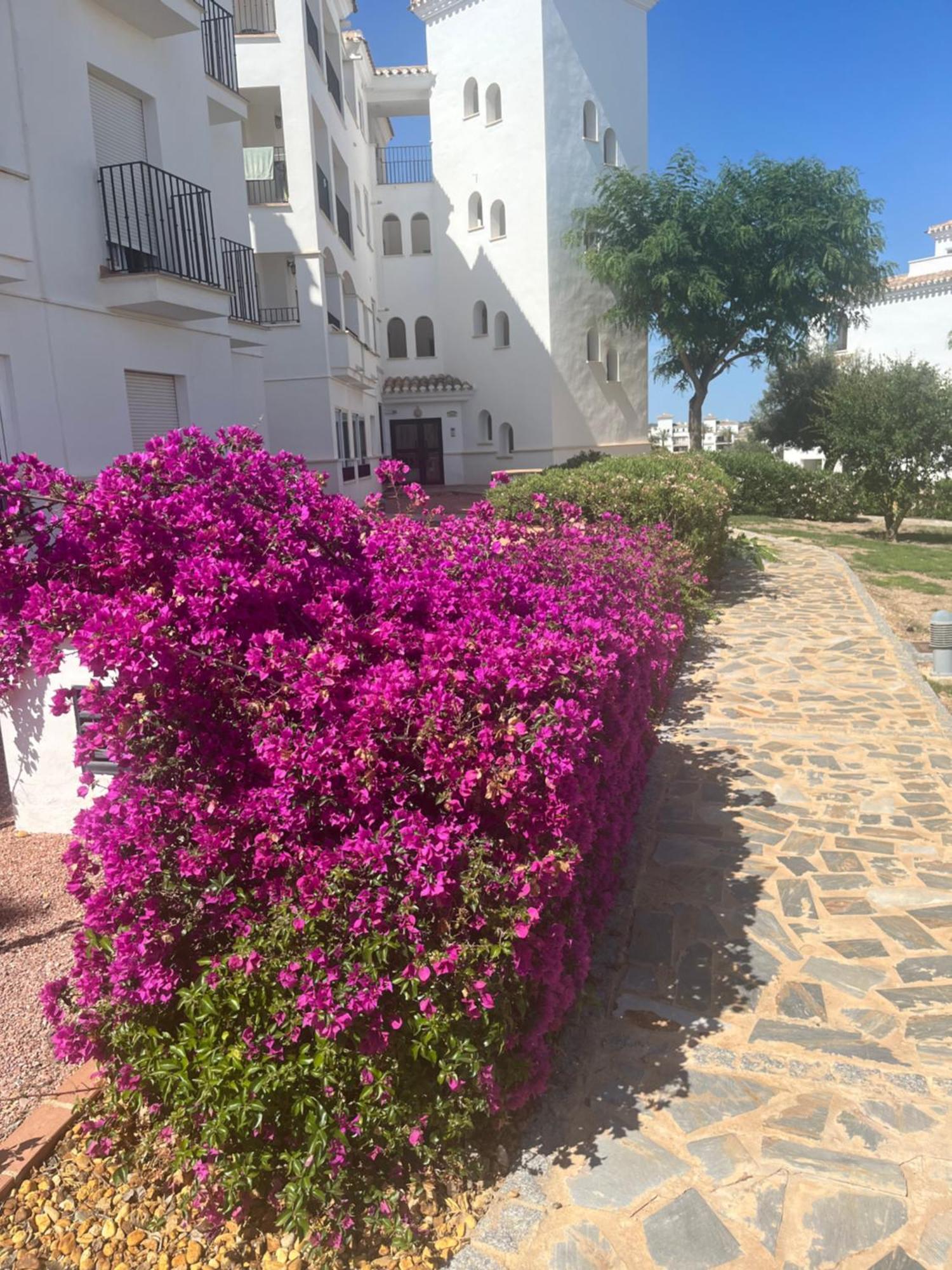La Casa Rosita, Hacienda Riquelme Golf Resort Sucina Murcia Exterior foto